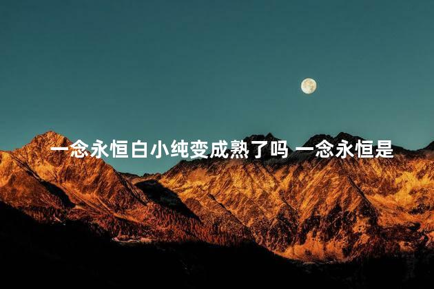 一念永恒白小纯变成熟了吗 一念永恒是双男主吗